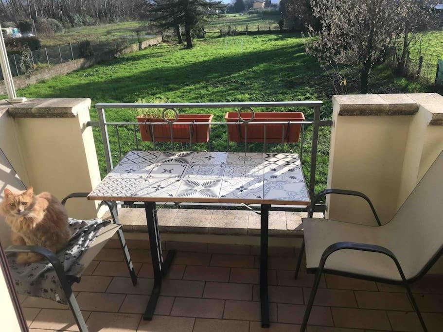 Piccolo Borgo Apartment Lucca Ngoại thất bức ảnh
